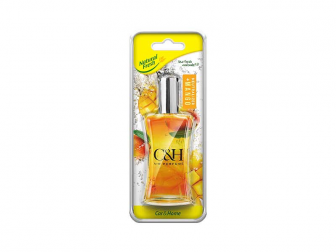 CAR & HOME MANGO 50ML L-CH050-MA