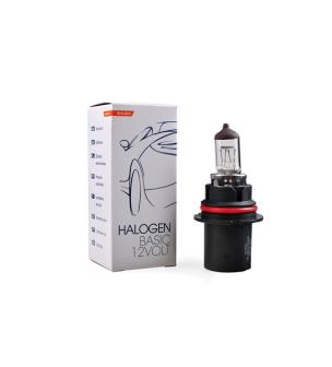 Sijalica HB1 65/45w 12v