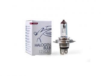 SIJALICA HS1 35/35W 12V